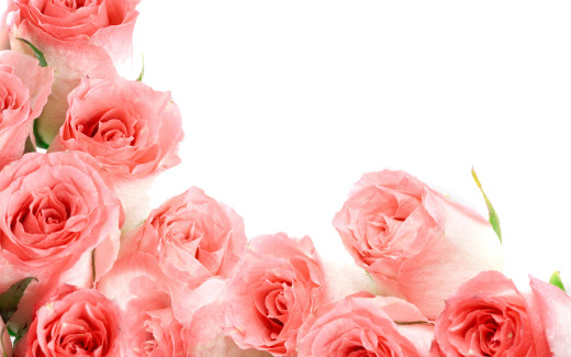 487317 (a): :2560x1600